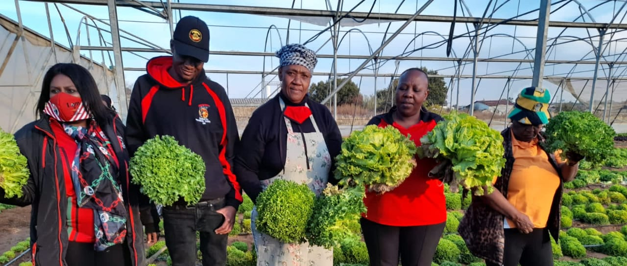 World food day 