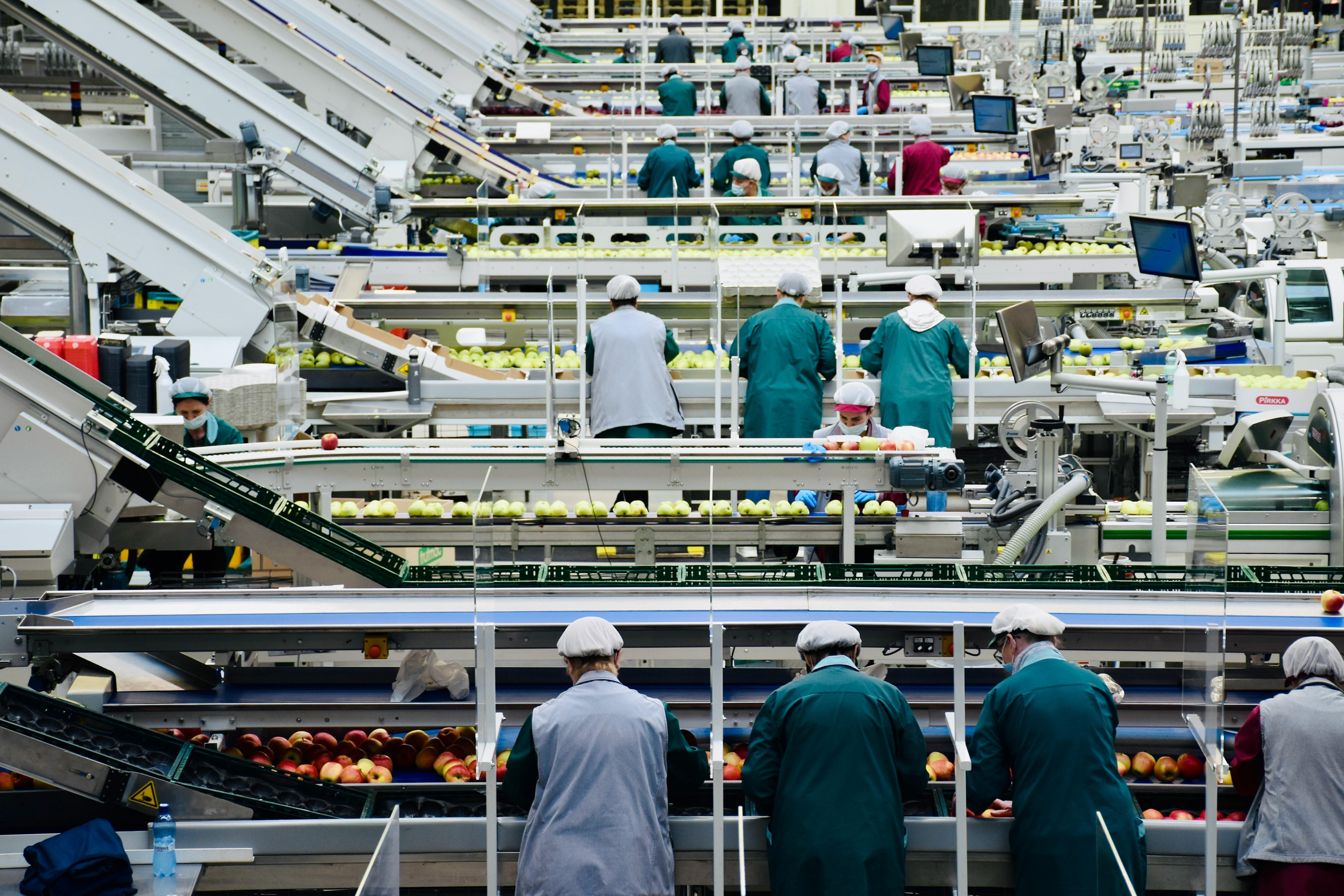 Food Processing